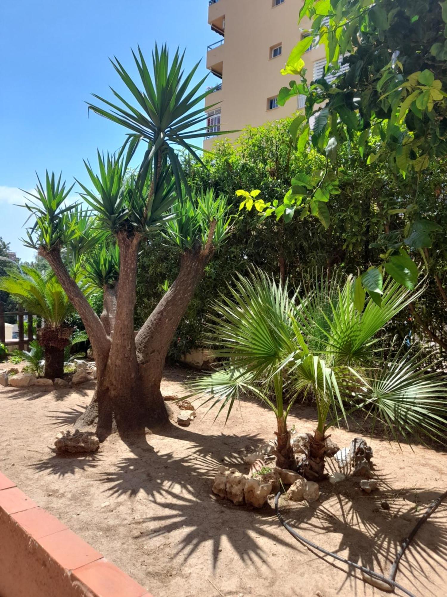Torremolinos Centro Beach Apartment Bagian luar foto